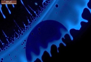 Benetzungsstörung beim Beschichten und Trocknen einer OLED-Halbleiterschicht. Bild: Peter Stephan und Sebastian Keuth